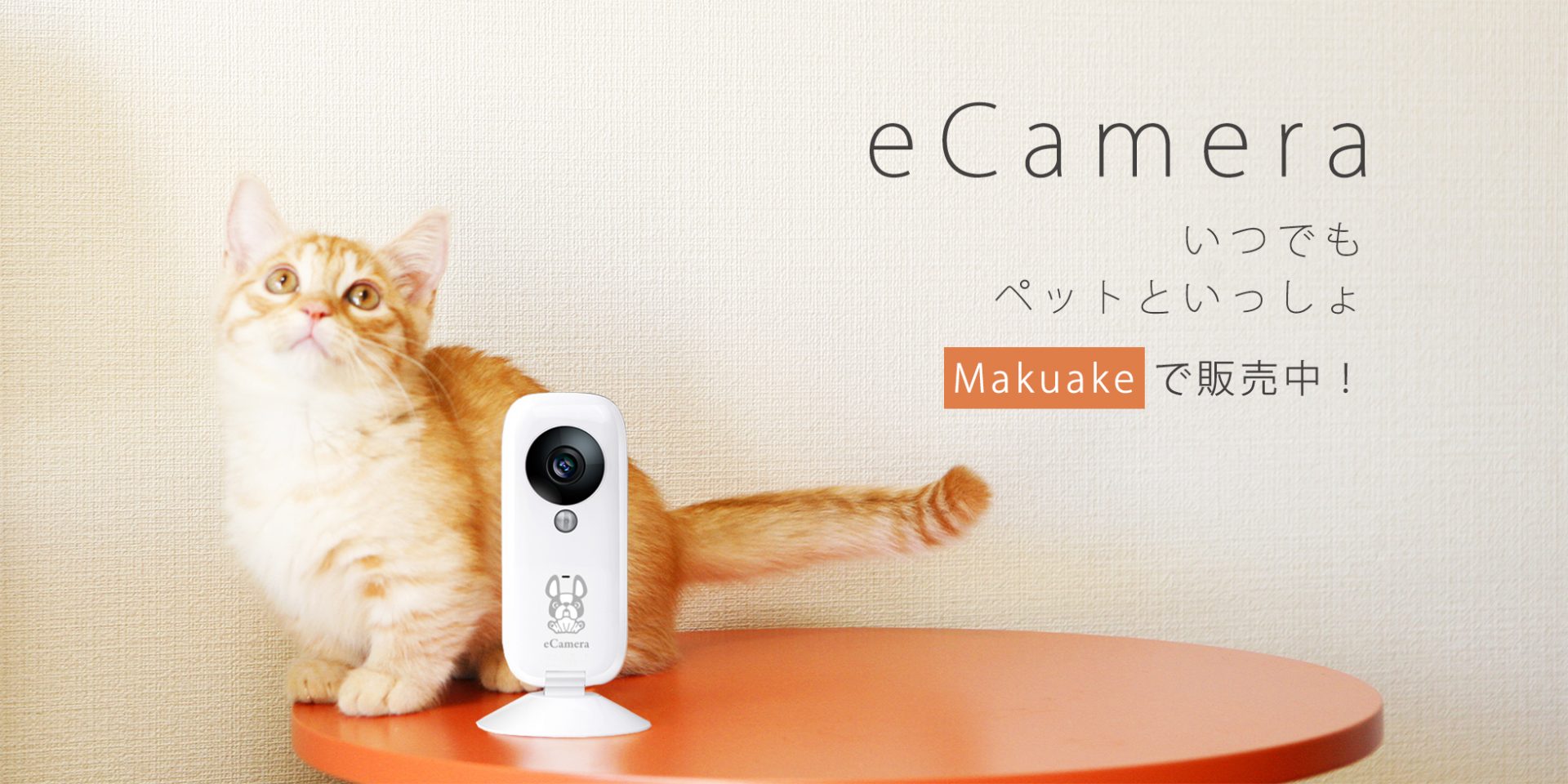 eCamera|IoT 家電 スマートホーム・スマートハウス|Link Japanメイン画像