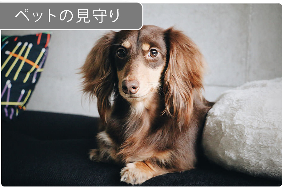 eRemote mini|IoT 家電 スマートホーム・スマートハウス|Link Japan画像13