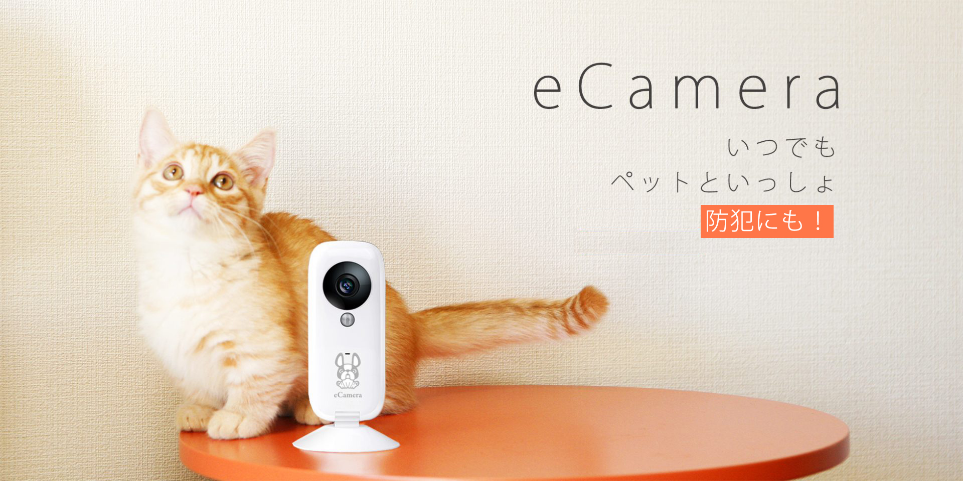 eCamera|IoT 家電 スマートホーム・スマートハウス|Link Japanメイン画像