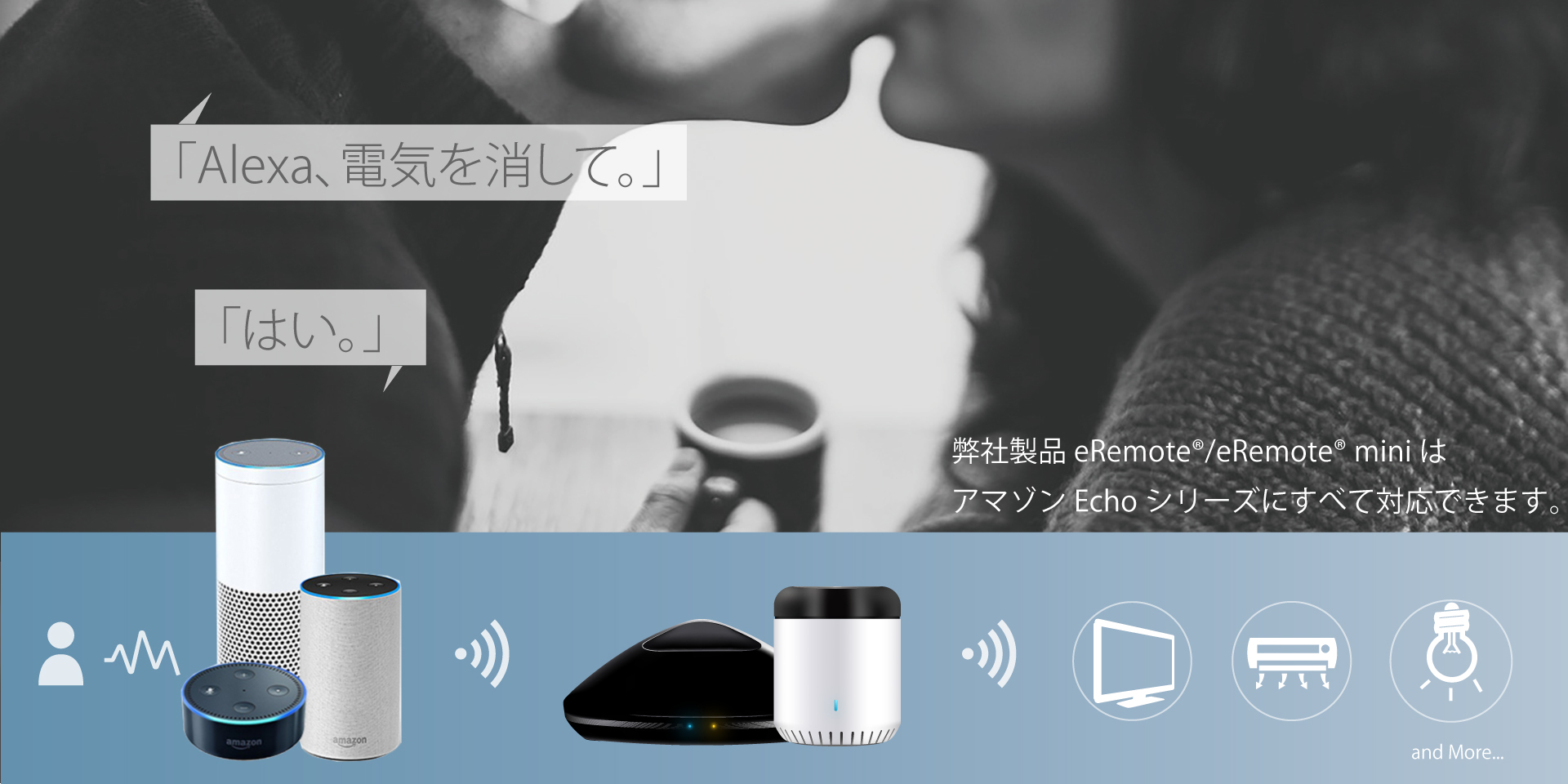 Google alexa & Remote & Remote mini